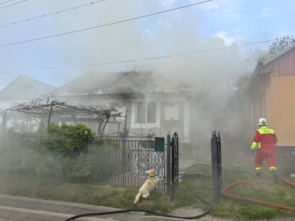 Pompierii au intervenit la 12 incendii, în mini-vacanța 1-3 mai