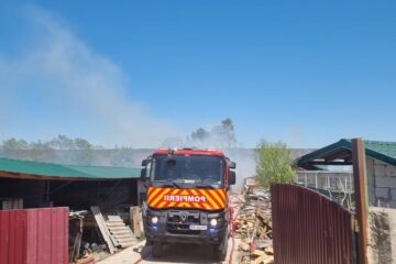 A luat foc colțul zoo de la Zaharești al lui Șoimaru