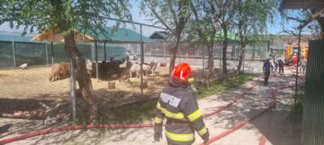 Ligrul de la Zaharești, mort în incendiu, Șoimaru luat cu ambulanța la spital