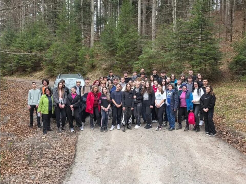 500 de puieți de molid plantați de elevi și profesori ai Colegiului Alimentar