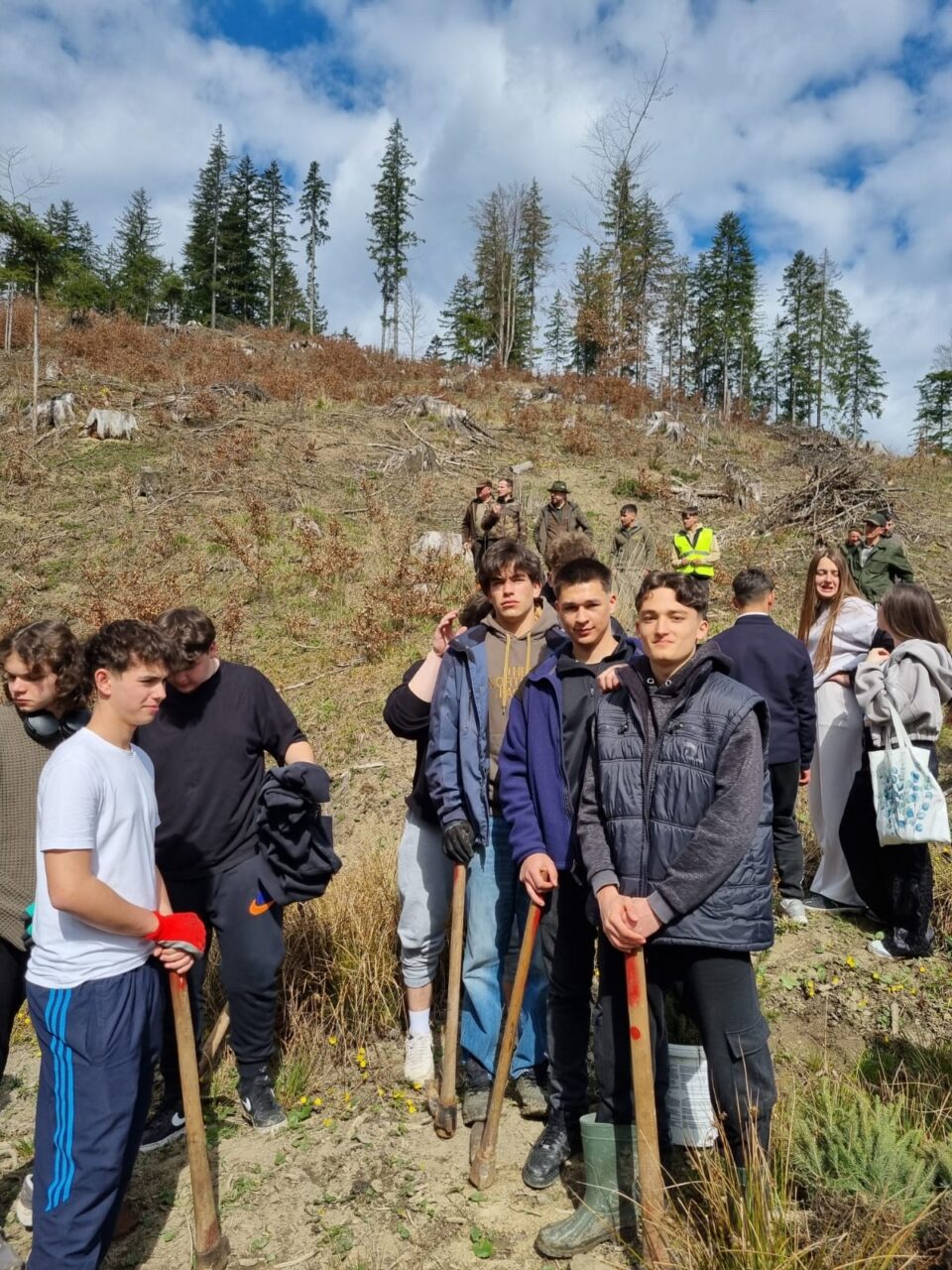 500 de puieți de molid plantați de elevi și profesori ai Colegiului Alimentar