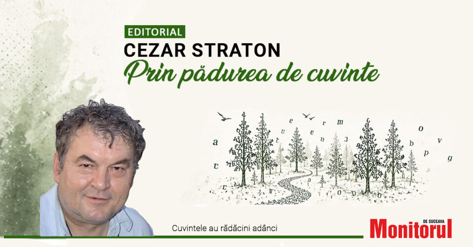 Pădure, dragostea mea. Codrii eminescieni.