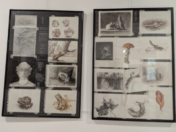 Deschiderea expoziției „20”, semnată de artistul Sorin Baciu, și lansare de album, la Muzeului de Istorie