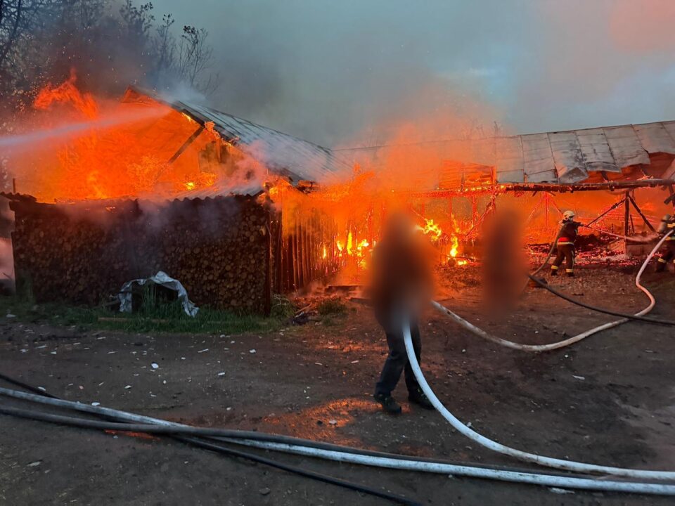 Două adăposturi de animale, distruse într-un puternic incendiu