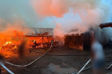 Două adăposturi de animale, distruse într-un puternic incendiu
