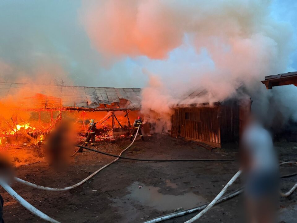 Două adăposturi de animale, distruse într-un puternic incendiu