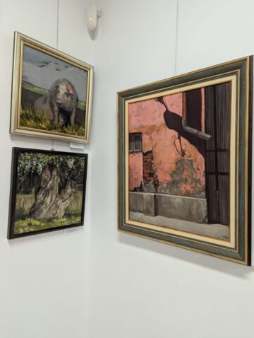 Deschiderea expoziției „20”, semnată de artistul Sorin Baciu, și lansare de album, la Muzeului de Istorie