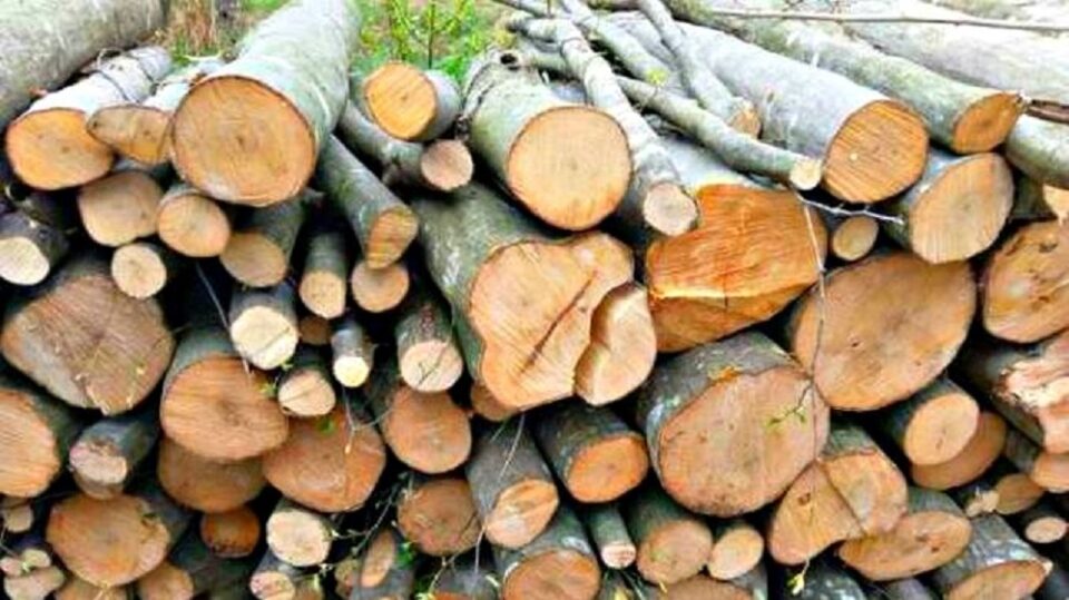 Escrocii au vândut unei familii de vârstnici 2,35 mc de lemn de foc pentru suma de 4.000 de lei