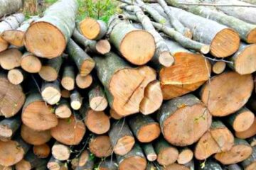 Escrocii au vândut unei familii de vârstnici 2,35 mc de lemn de foc pentru suma de 4.000 de lei