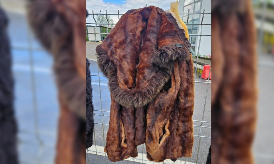 Haine din blană de nurcă și piei din blană de șinșilă, ridicate după ce au fost găsite în cabina unui tir