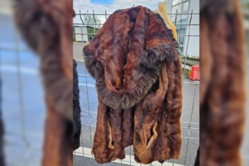 Haine din blană de nurcă și piei din blană de șinșilă, ridicate după ce au fost găsite în cabina unui tir