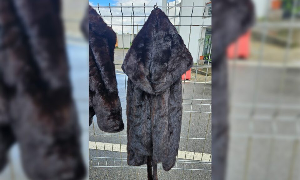 Haine din blană de nurcă și piei din blană de șinșilă, ridicate după ce au fost găsite în cabina unui tir