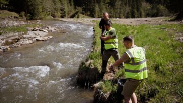 Grupul de Inițiativă Civică Suceava a organizat o acțiune de repopulare cu păstrăv indigen pe râul Neagra din Broșteni