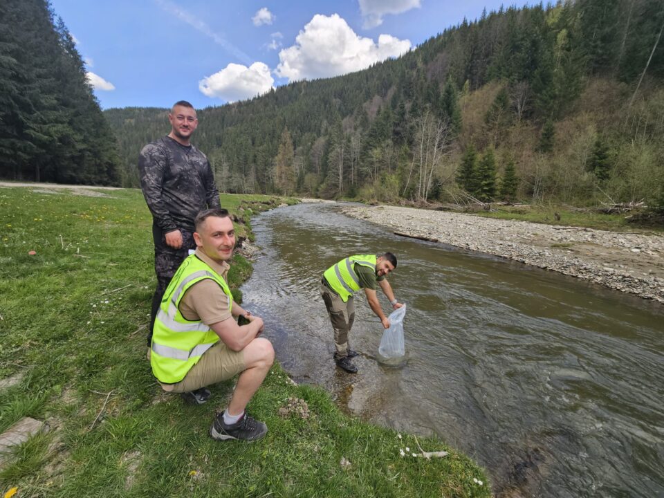 Grupul de Inițiativă Civică Suceava a organizat o acțiune de repopulare cu păstrăv indigen pe râul Neagra din Broșteni
