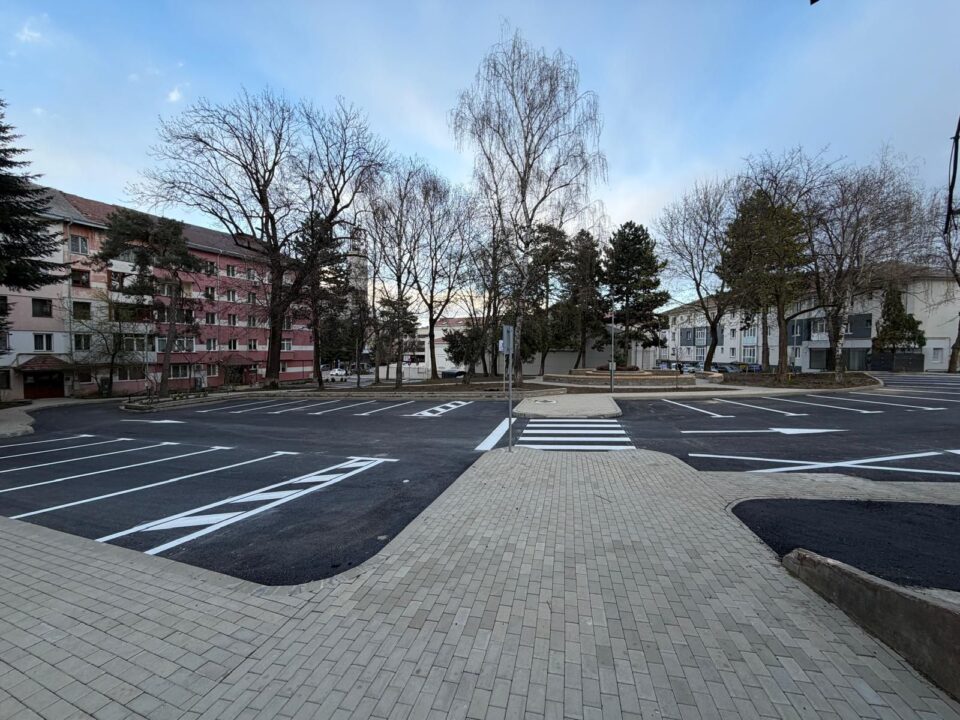 Program de revitalizare a spațiilor pietonale și a zonelor de relaxare din cartiere, în municipiul Suceava Program de revitalizare a spațiilor pietonale și a zonelor de relaxare din cartiere, în municipiul Suceava