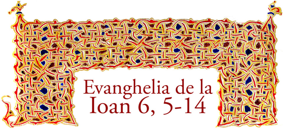 Evanghelia zilei Evanghelia zilei