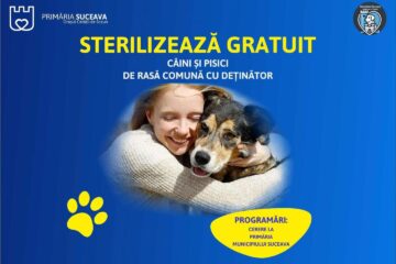 Sterilizare gratuită a câinilor și pisicilor de rasă comună, în municipiul Suceava