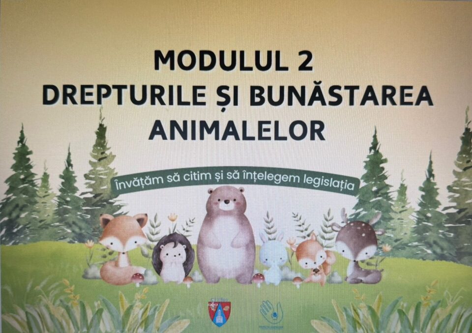 O nouă disciplină școlară opțională pentru clasele V-VI, din toamnă