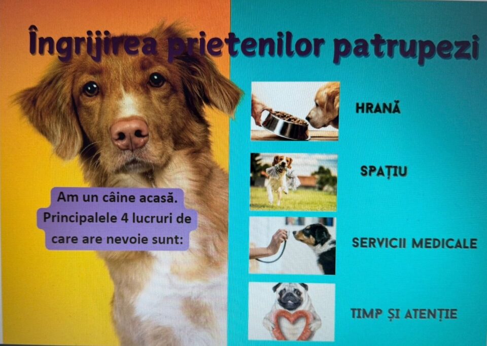 O nouă disciplină școlară opțională pentru clasele V-VI, din toamnă