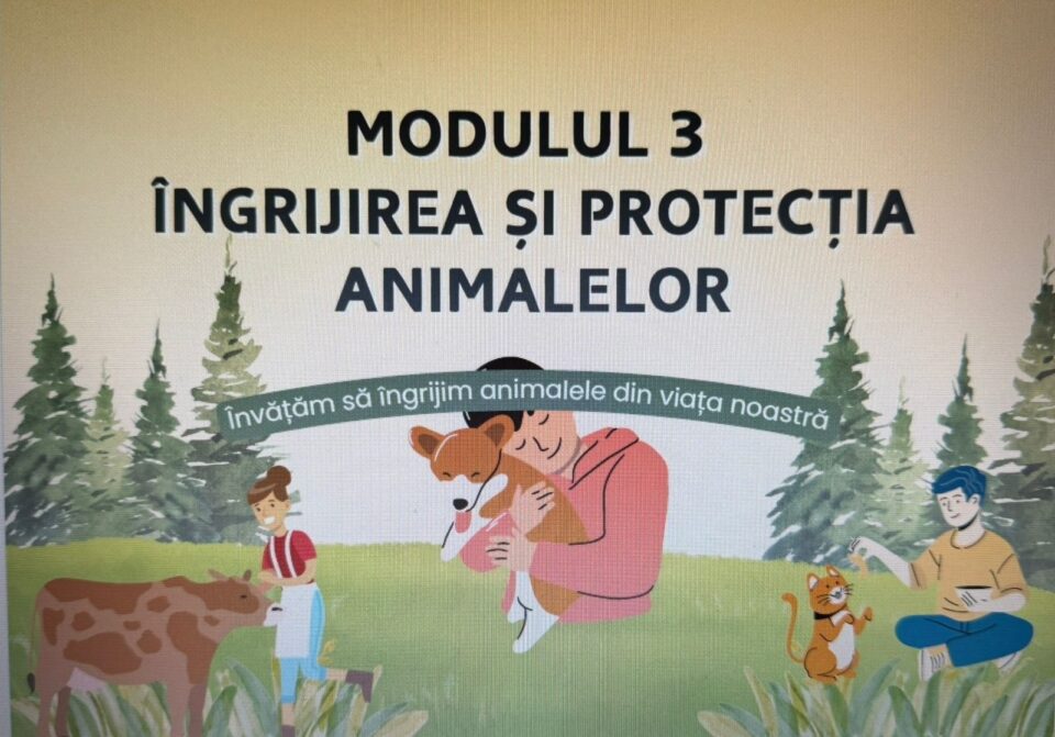 O nouă disciplină școlară opțională pentru clasele V-VI, din toamnă