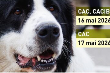 Unde fugim de-acasă… în perioada 14-20 mai