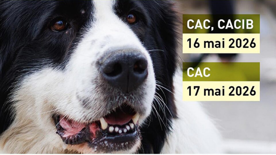Unde fugim de-acasă… în perioada 14-20 mai