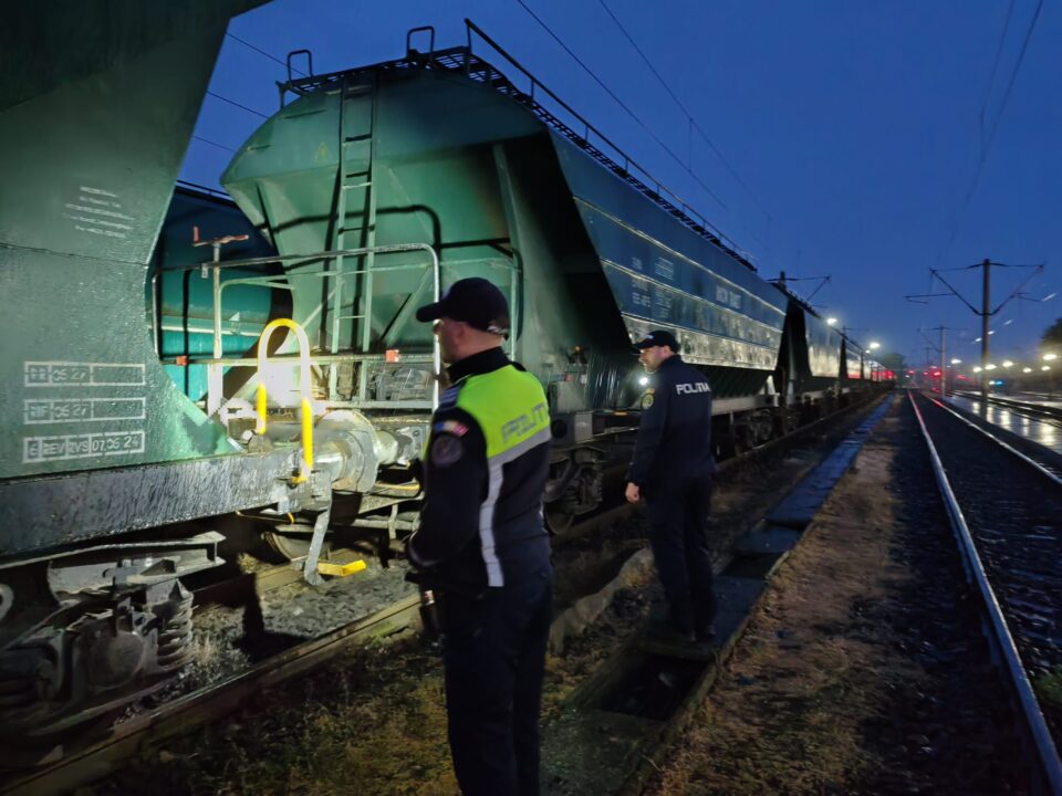 Polițiștii de la Transporturi au verificat peste 300 de vagoane de marfă