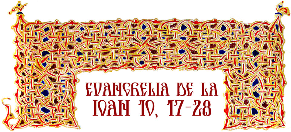 Evanghelia zilei