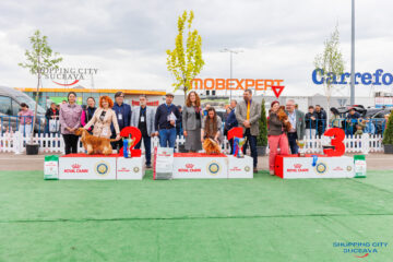Bucovina Dog Show 2026, o nouă ediție, la Shopping City Suceava, în perioada 16-17 mai