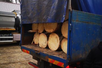 Polițiștii unei secții rurale au depistat, în câteva ore, cinci autoutilitare care transportau ilegal lemn