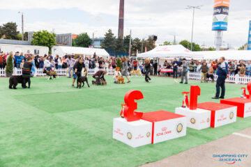 Bucovina Dog Show 2026, o nouă ediție, la Shopping City Suceava, în perioada 16-17 mai