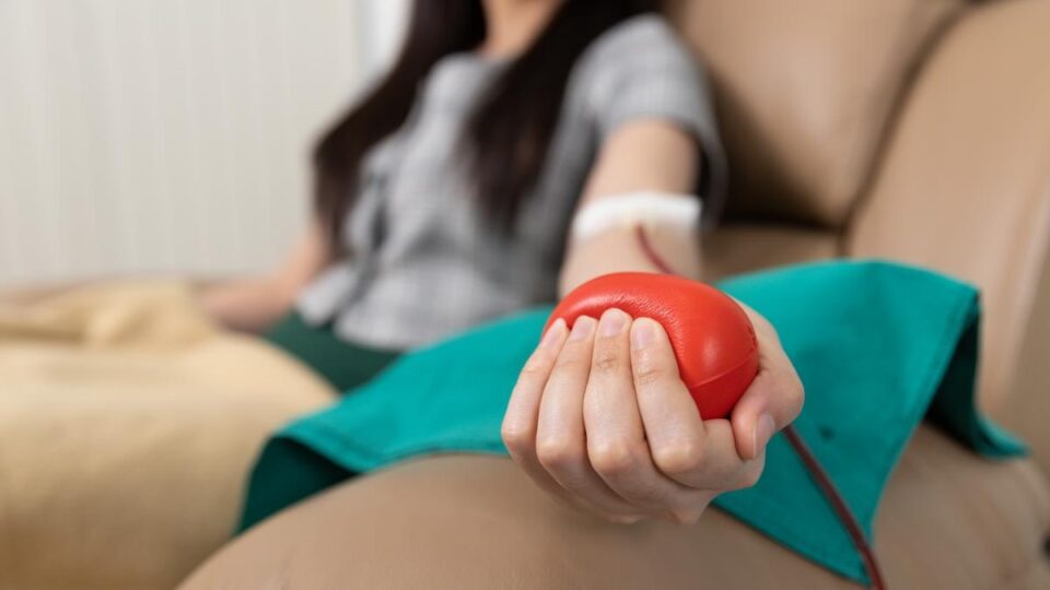 Silvicultorii pregătesc o amplă campanie de donare de sânge Silvicultorii pregătesc o amplă campanie de donare de sânge
