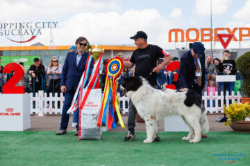 Bucovina Dog Show 2026, o nouă ediție de succes, în parcarea Shopping City Suceava
