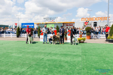 Bucovina Dog Show 2026, o nouă ediție de succes, în parcarea Shopping City Suceava