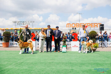 Bucovina Dog Show 2026, o nouă ediție de succes, în parcarea Shopping City Suceava