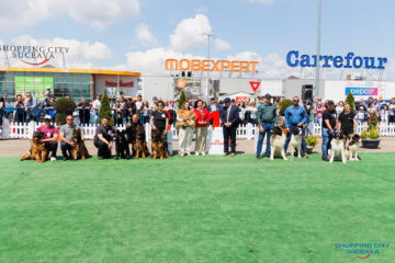 Bucovina Dog Show 2026, o nouă ediție de succes, în parcarea Shopping City Suceava
