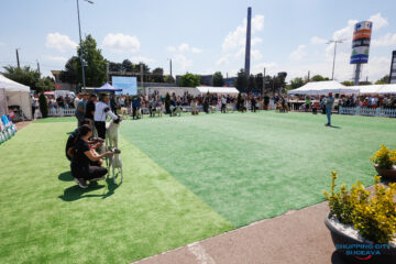 Bucovina Dog Show 2026, o nouă ediție de succes, în parcarea Shopping City Suceava
