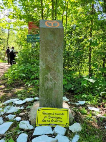 Acțiunea anuală de gospodărire. 50 de tineri voluntari ai Asociației Tinerilor Ortodocși Suceveni, pe Via Transilvanica, între Mănăstirea Putna și Mănăstirea Sucevița