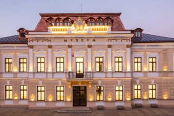 Activități culturale organizate la Muzeul Arta Lemnului, la împlinirea a 90 de ani