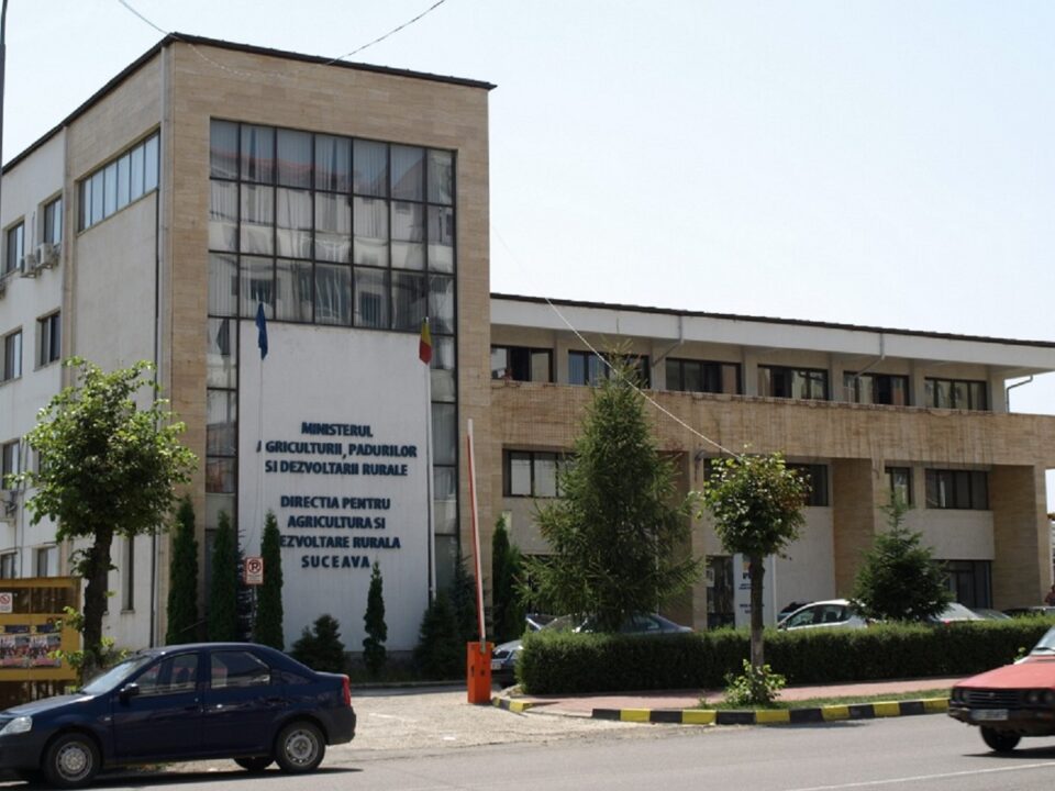 Delia Moldoveanu preia temporar atribuțiile de director executiv la APIA Suceava