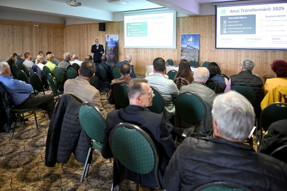 Liniile strategice ale ASFOR, valoarea pădurilor României și importanța economică a lemnului