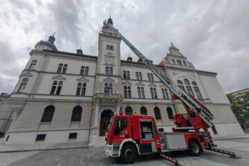 Pescăruș salvat de pompieri după ce a rămas blocat în zona turnului Palatului Administrativ