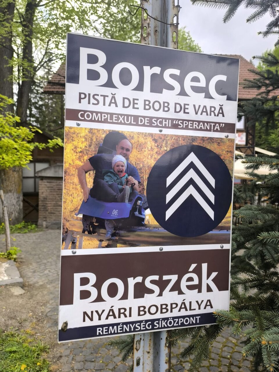 Activitate metodică inedită, organizată de Colegiul „Vasile Lovinescu”