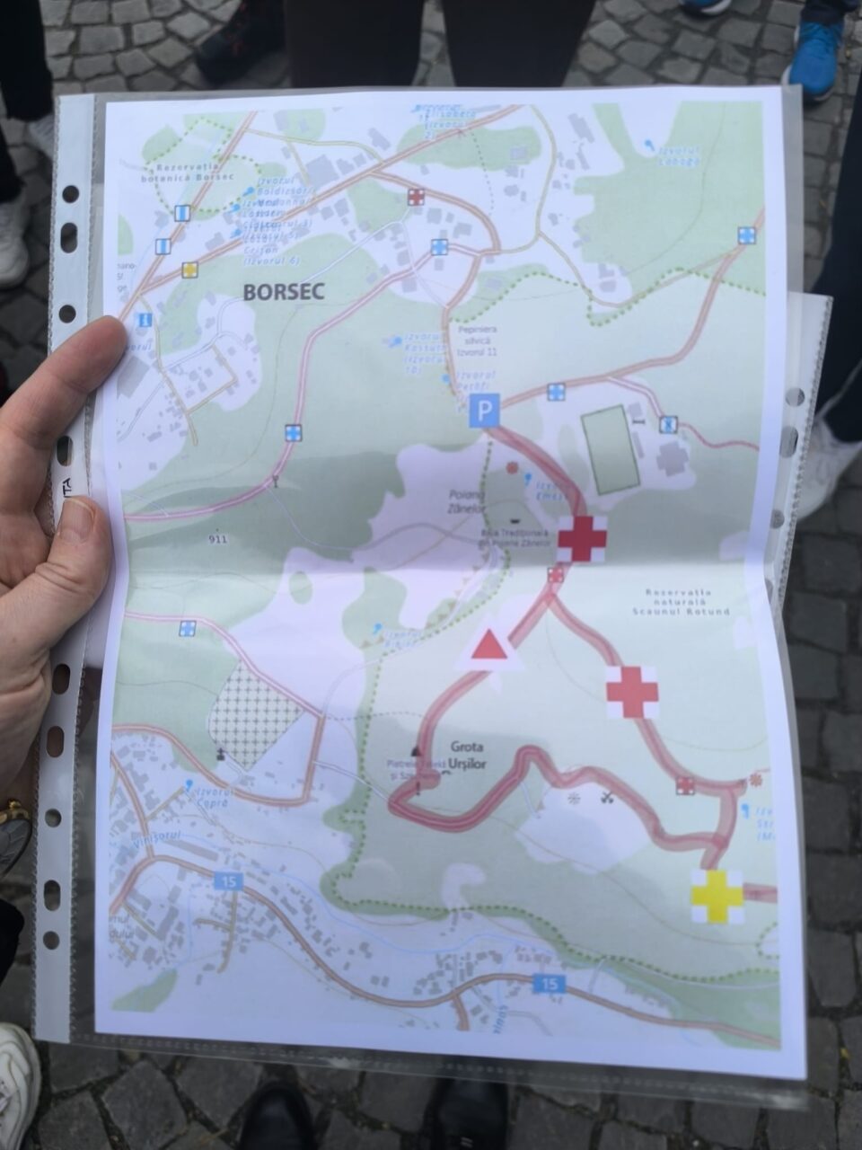 Activitate metodică inedită, organizată de Colegiul „Vasile Lovinescu”