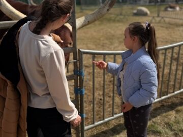 Zoo Park România ajunge pentru prima dată la Suceava.  Peste 50 de animale exotice și o experiență unică în România – să hrănești un elefant adevărat