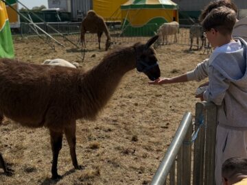 Zoo Park România ajunge pentru prima dată la Suceava.  Peste 50 de animale exotice și o experiență unică în România – să hrănești un elefant adevărat