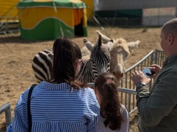 Zoo Park România ajunge pentru prima dată la Suceava.  Peste 50 de animale exotice și o experiență unică în România – să hrănești un elefant adevărat