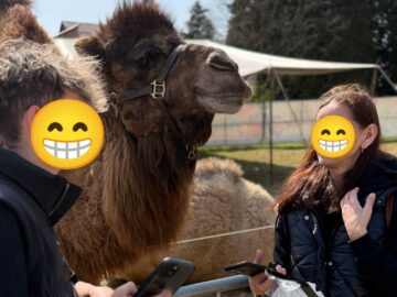Zoo Park România ajunge pentru prima dată la Suceava.  Peste 50 de animale exotice și o experiență unică în România – să hrănești un elefant adevărat