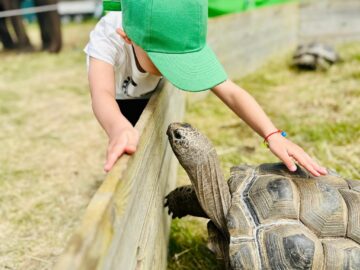Zoo Park România ajunge pentru prima dată la Suceava.  Peste 50 de animale exotice și o experiență unică în România – să hrănești un elefant adevărat