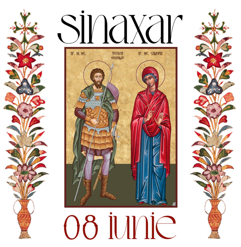 Sinaxar 8 iunie 2026